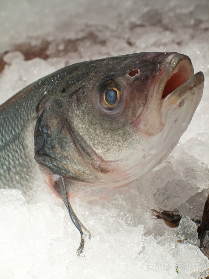 冻鱼