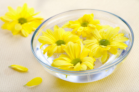 玻璃碗里的黄花