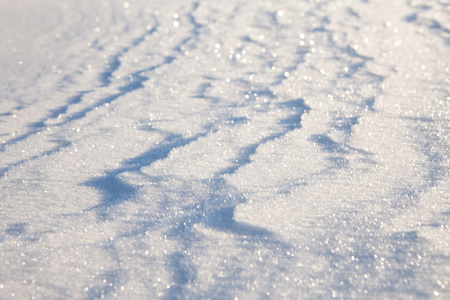 白雪皑皑