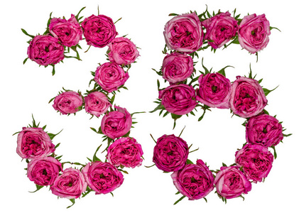 阿拉伯数字 35, 三十五, 从红色的玫瑰花, isolat照片