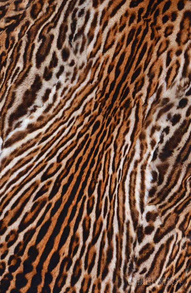 豹皮背景纹理照片-正版商用图片02c1l5-摄图新视界