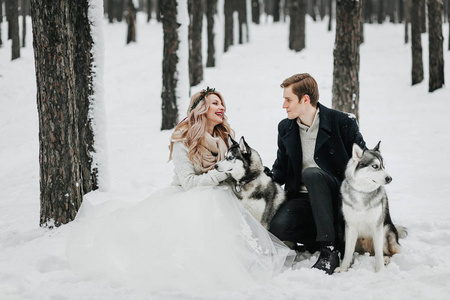 欢快的情侣在白雪皑皑的森林里玩西伯利亚哈士奇。冬季婚礼艺术品