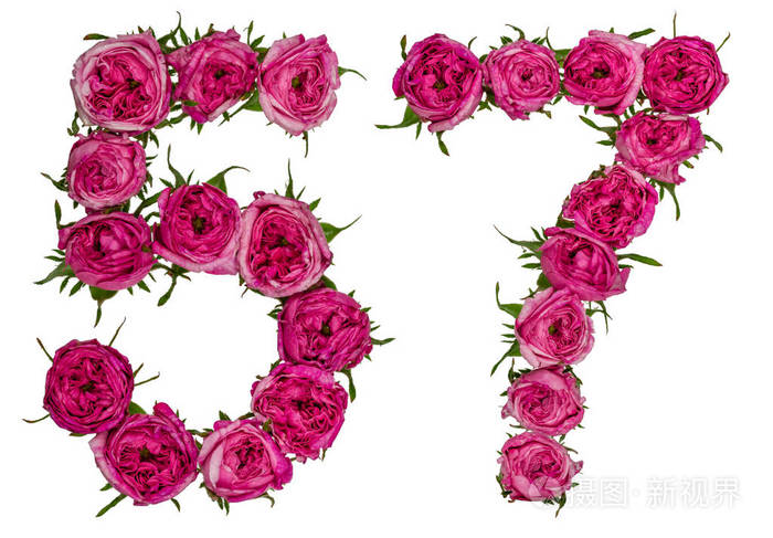 阿拉伯数字 57, 五十七, 从红色的玫瑰花, isolat