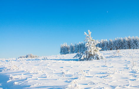 冬季公园与雪