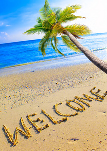 在沙滩上写的欢迎和一棵棕榈树在大海