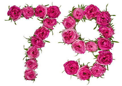 阿拉伯数字 79, 七十九, 从红色的玫瑰花, isola