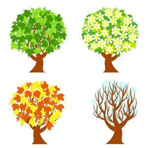 矢量图的四个季节孤立在白色背景上的树木