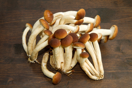 茶树菇牛柳图片