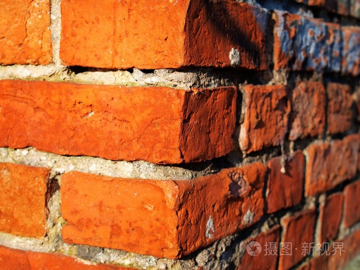 砖brick的名词复数砖块积木可靠的朋友