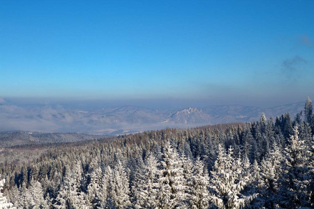 Pieniny 国家公园的看法从 Bachledova 谷, 高 Tatras 国家公园, 斯洛伐克