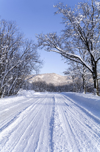 冬季道路