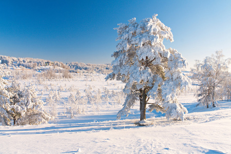 冬天的雪公园