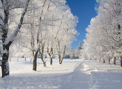 冬天的雪公园