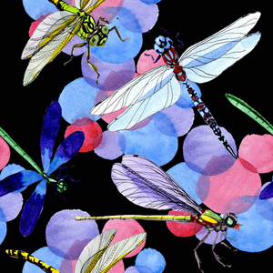 水彩蜻蜓图片-水彩蜻蜓素材-水彩蜻蜓插画-摄图新视界