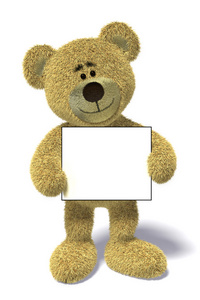 泰迪熊拿着标志