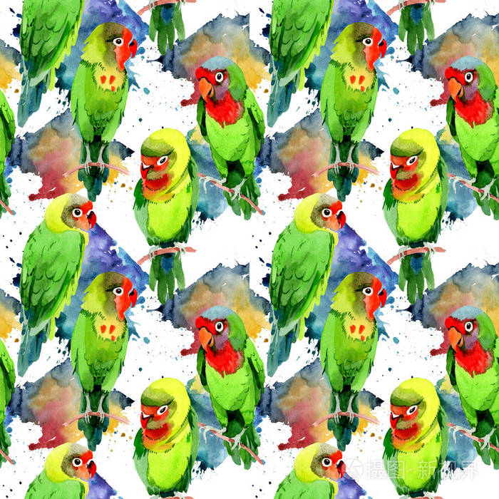 天空鸟小鹦鹉图案在野生动物的水彩风格