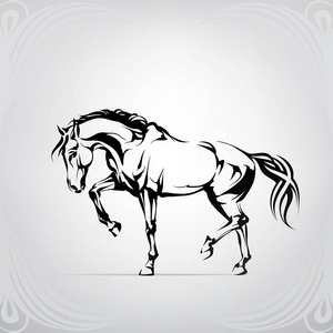 田纳西行走马图片-田纳西行走马素材-田纳西行走马插画-摄图新视界