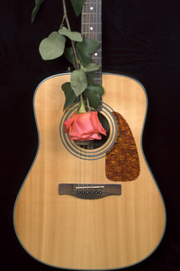 吉他和玫瑰