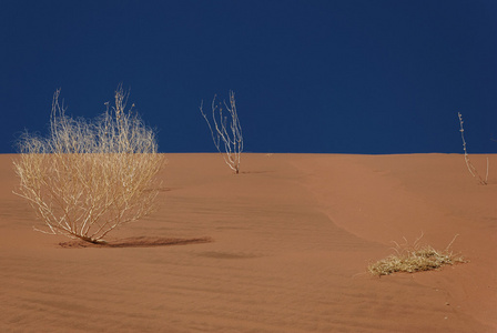沙漠地貌