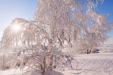 白雪皑皑的冬天风景