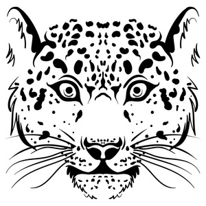 黑白矢量素描豹脸照片