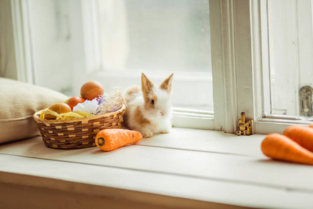 复活节可爱的兔子坐在窗台上的彩色鸡蛋和胡萝卜篮