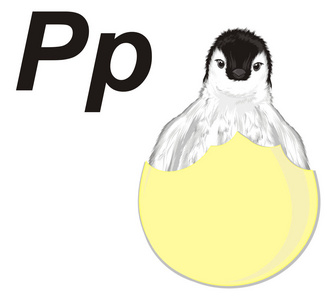 白色小企鹅坐在鸡蛋附近的字母 p