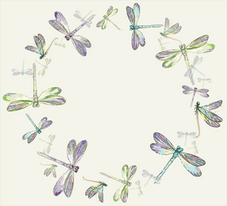 美丽的装饰框架，带有蜻蜓。