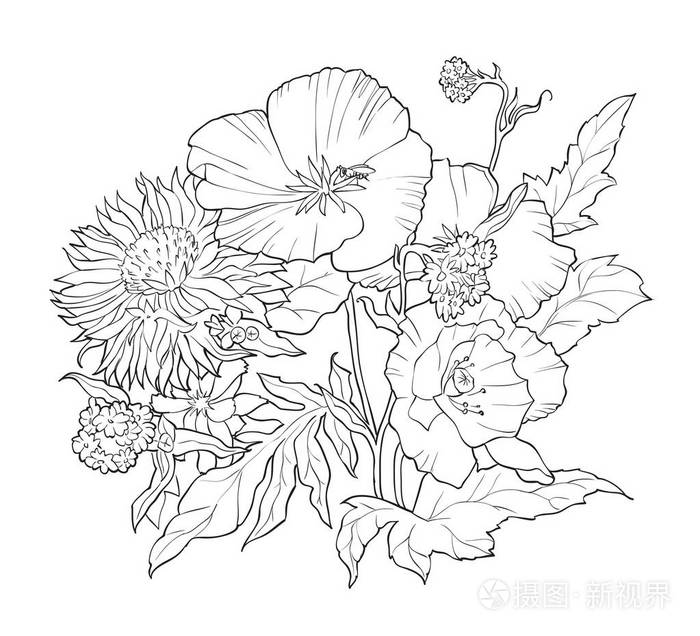 着色书用手绘花 黑白插图插画 正版商用图片02dtoq 摄图新视界 着色书用手绘花 黑白插图插画 正版商用图片02dtoq 摄图新视界