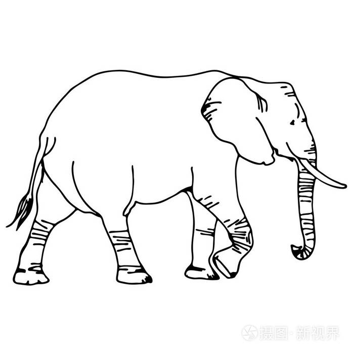 黑白矢量大象剪影