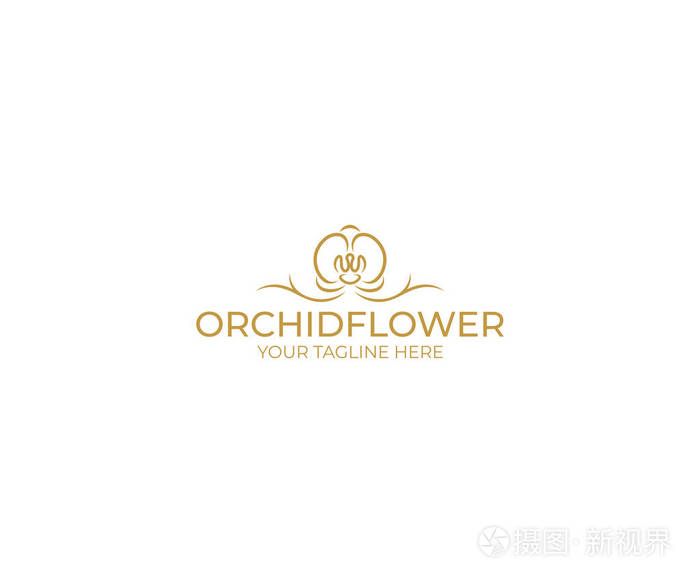 蝴蝶兰矢量设计.花卉插图