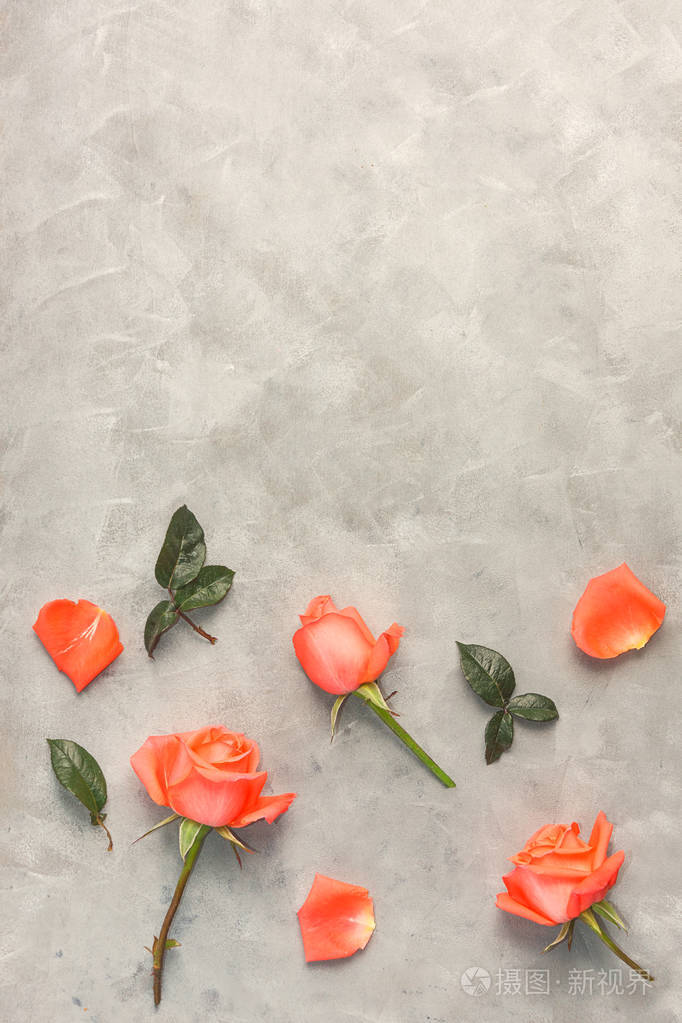 顶部视图平躺在灰色背景的粉红色玫瑰.浪漫装饰