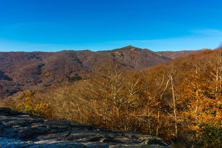 Montseny 自然公园, 在秋季的一天, 位于二十世纪七十年代