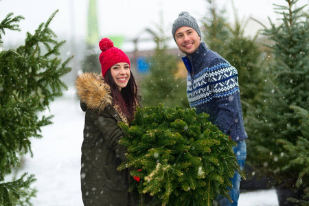 年轻夫妇采摘圣诞树