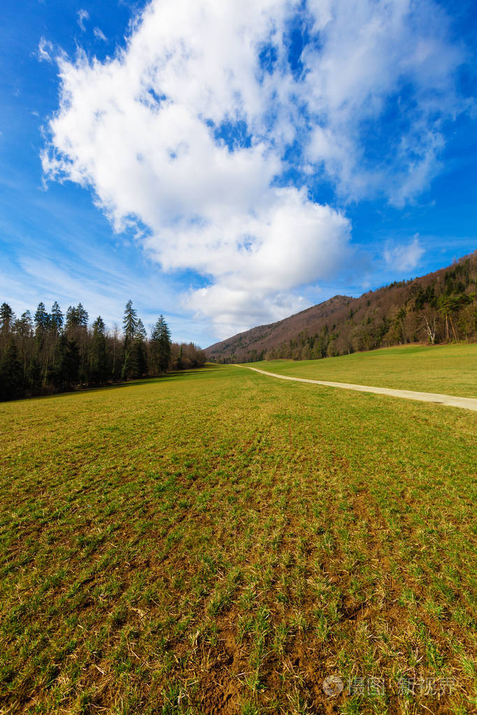 春天的乡村风景草坪