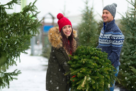 年轻夫妇采摘圣诞树