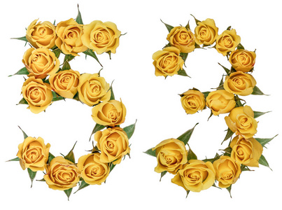 阿拉伯数字 53, 五十三, 从黄色的玫瑰花, iso照片