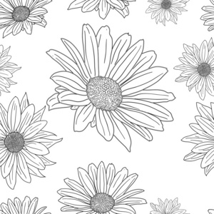 手绘花卉壁纸与一套不同的花。