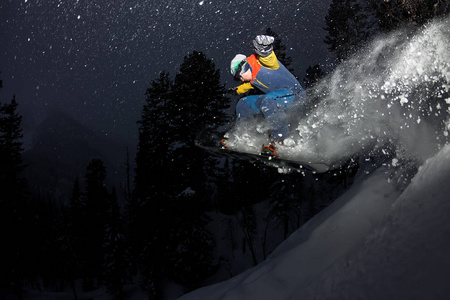 freerider 滑雪在森林里跳着跳板