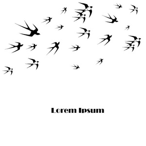 单色背景飞燕 Lorem ipsum 股票矢量插画设计元素