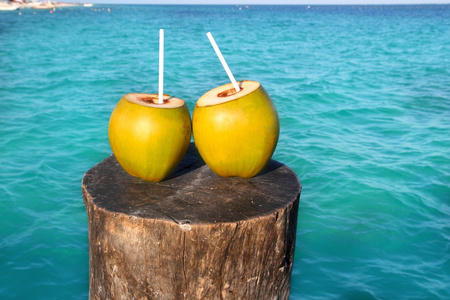 加勒比地区新鲜的两个椰子果汁吸管