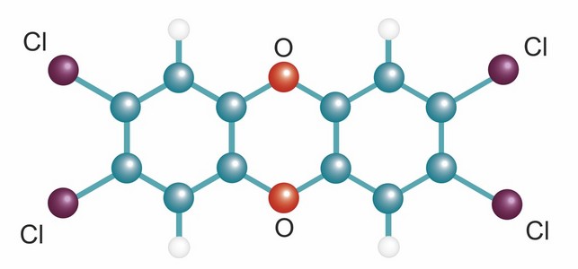 矢量化学公式