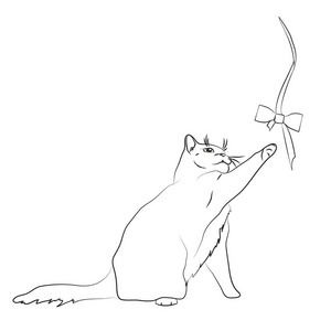 可爱的卡通猫玩弓。小猫仰望船头