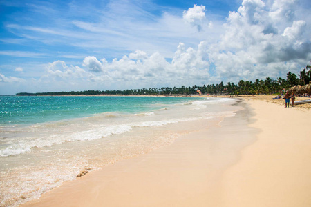 阳光明媚的热带海滩, 拥有棕榈和完美的天空