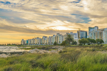 沿海城市场景，蒙得维的亚乌拉圭