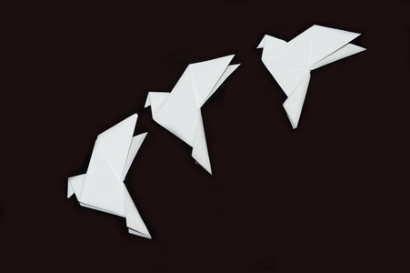 亚洲鸽子的翅膀图片