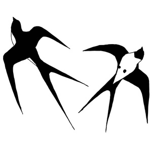 鸟类剪影燕子燕子和盛开的树枝在电线上的燕子颅骨文身和玫瑰和不固定