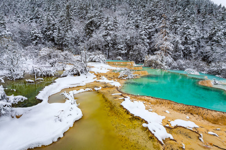 五颜六色的冰湖和白雪覆盖的树的看法