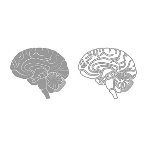 大脑图标。灰色套装