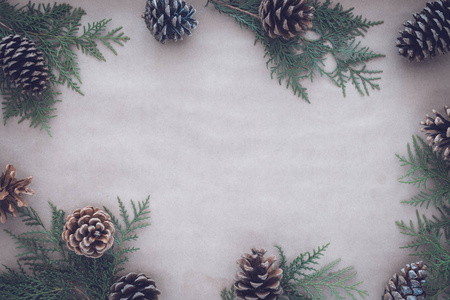 秋季和冬季圣诞假期贺卡的平躺构图。松锥和侧柏枝在牛皮纸上。顶部视图。色调图像